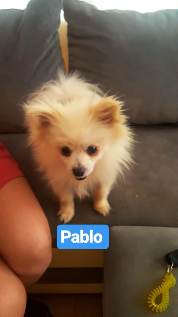 Pablo