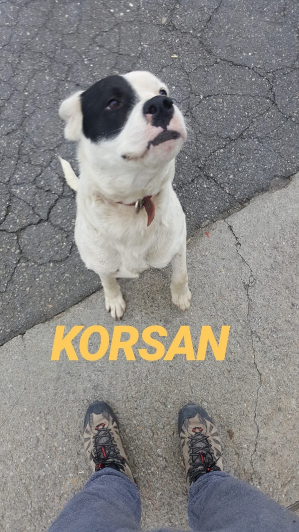 Korsan